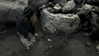 vvelum_ Altpins Profile Picture
