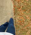katelynernst3 Altpins Profile Picture
