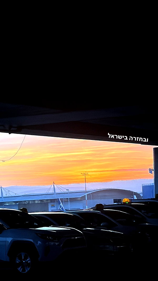 biton__adi biton__adi archive image