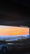 biton__adi Altpins Profile Picture