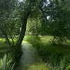 _dead__cherry_ Altpins Profile Picture