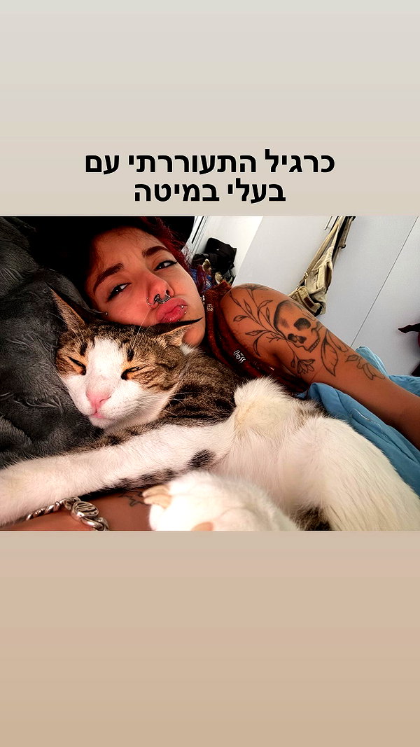 shaharo__._ instagram image archive image