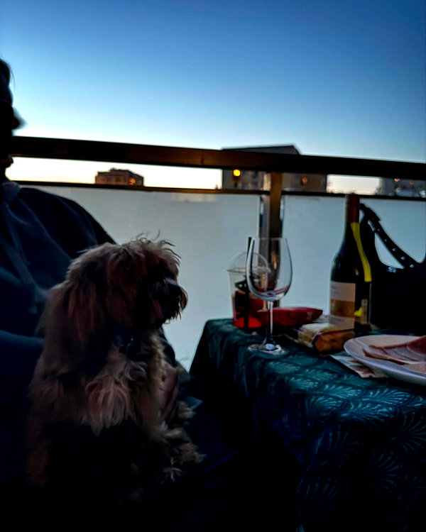 anzhelater instagram image archive image