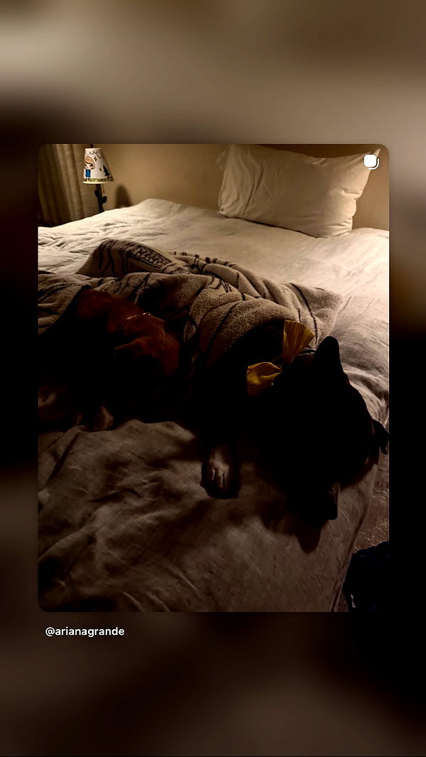 arianagrande instagram image archive image