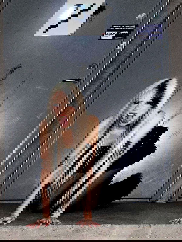 silkton image ~ Altpins