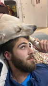 galibilaus Altpins Profile Picture