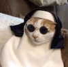 mariagabrielasantos Altpins Profile Picture
