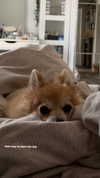nina.kxs Altpins Profile Picture