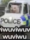 ellaexplicit_ Altpins Profile Picture