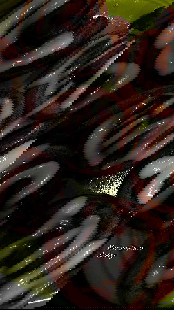 taylor.creeden taylor.creeden archive image