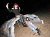 44cbrloveletter Altpins Profile Picture