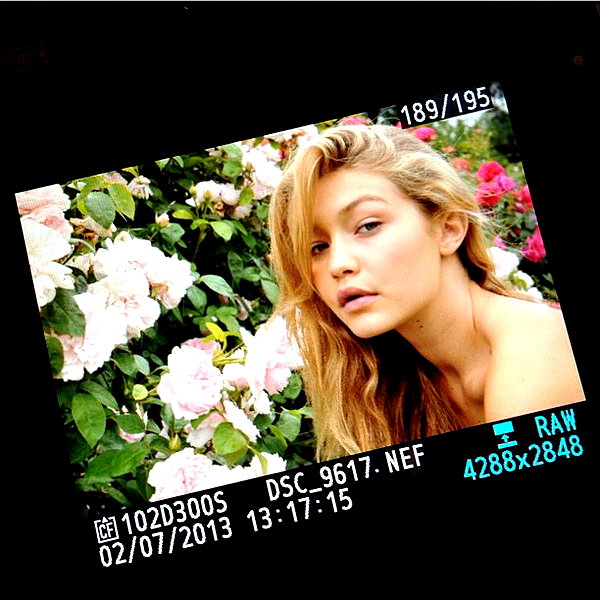 gigihadid instagram image archive image