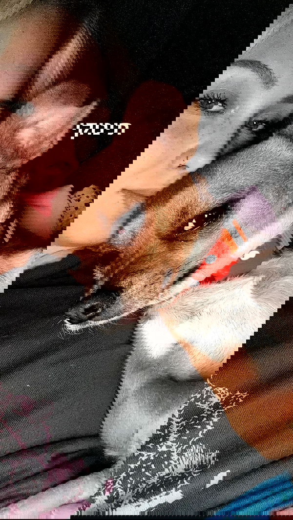 jaroslava_klavir jaroslava_klavir archive image