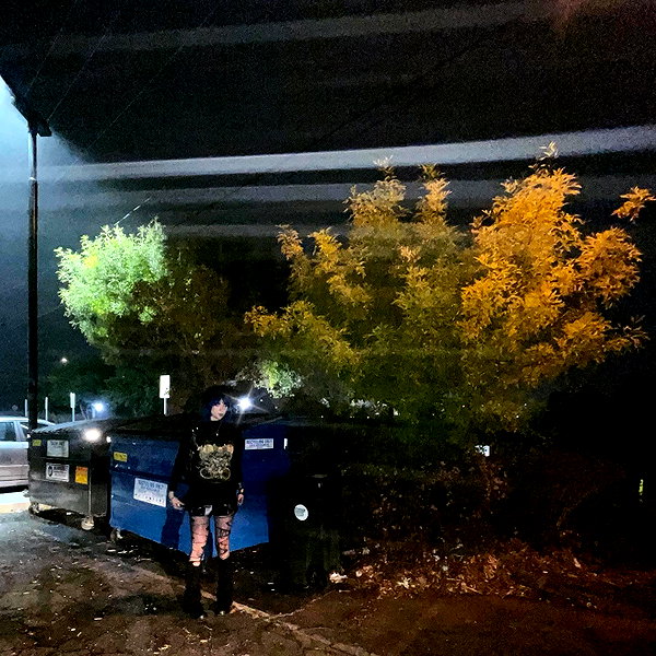 haileylayfield instagram image archive image