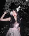 nixqq.425_ Altpins Profile Picture