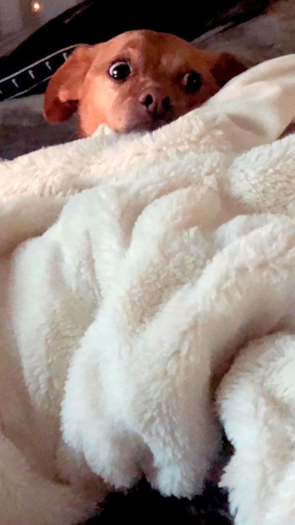 arianagrande instagram image archive image