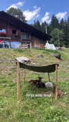 lotembar Altpins Profile Picture