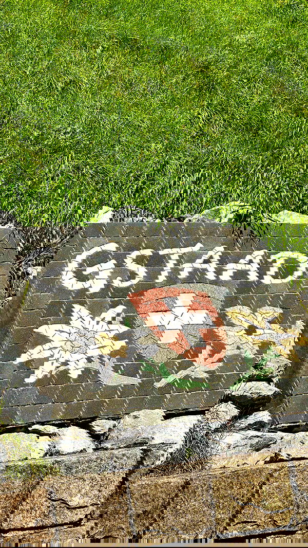 taylor.creeden taylor.creeden archive image