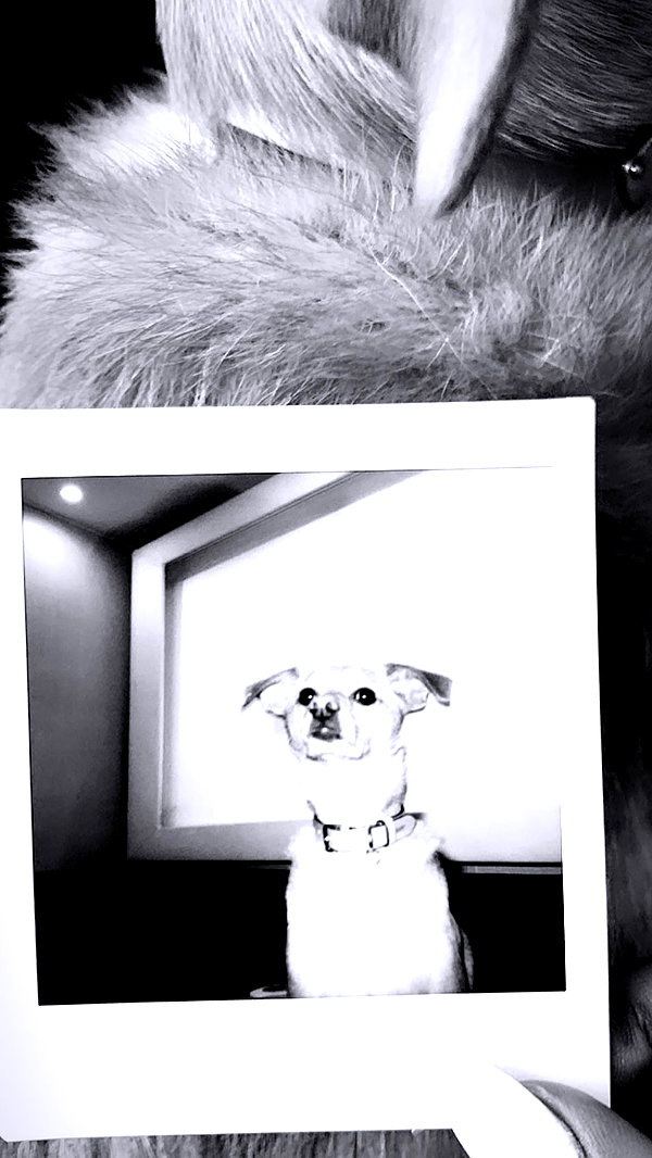 arianagrande instagram image archive image