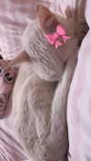 xxk1tty4nnaxx Altpins Profile Picture