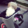ashleybenson Altpins Profile Picture