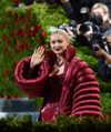 gigihadid Altpins Profile Picture
