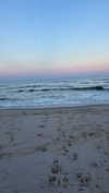alyssa.lukens Altpins Profile Picture