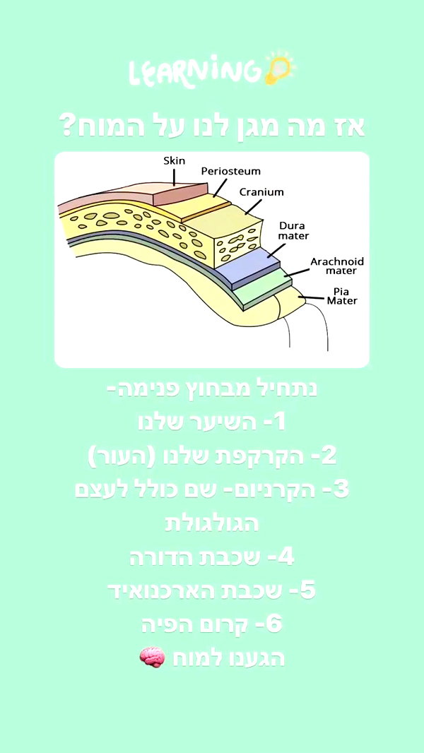 kesemgreenyer instagram image archive image