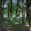 chanakateri Altpins Profile Picture