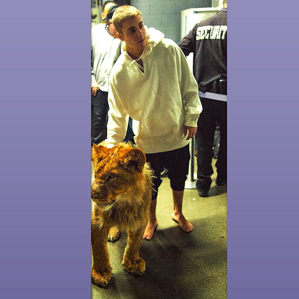 lilbieber instagram image archive image