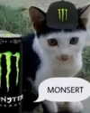 ellaexplicit_ Altpins Profile Picture