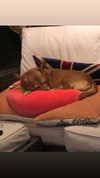 bat.wiings Altpins Profile Picture