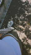 ofri.elul Altpins Profile Picture