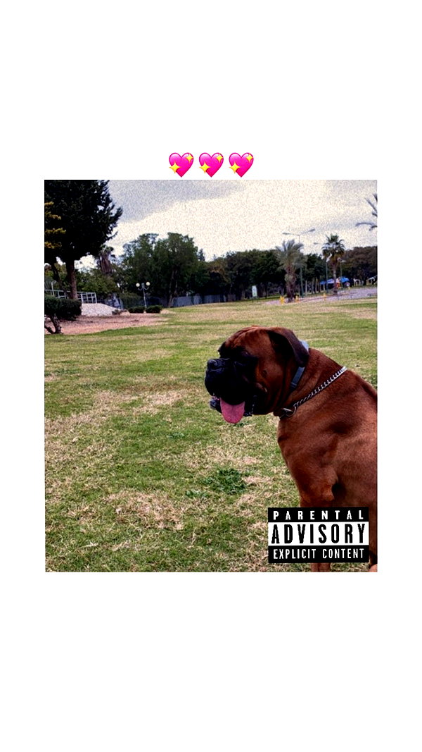 x.angelzk instagram image archive image