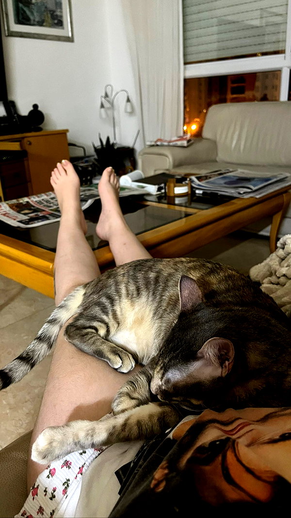 Archived image from @notchicore on Instagram
