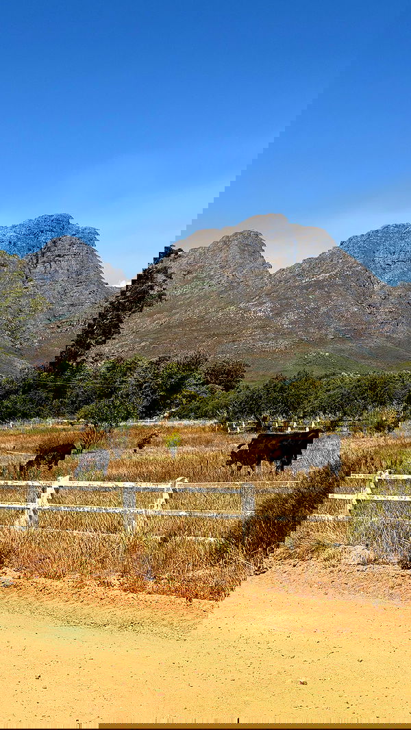 taylor.creeden taylor.creeden archive image