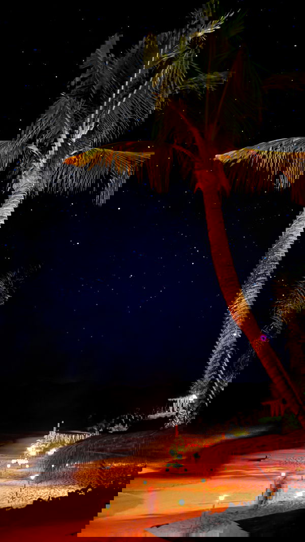 taylor.creeden taylor.creeden archive image