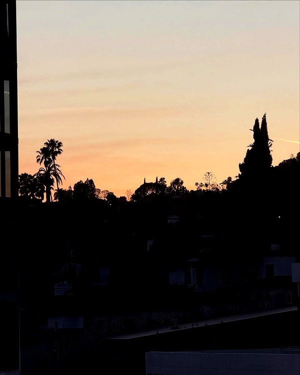 sophiebatzloff instagram image archive image
