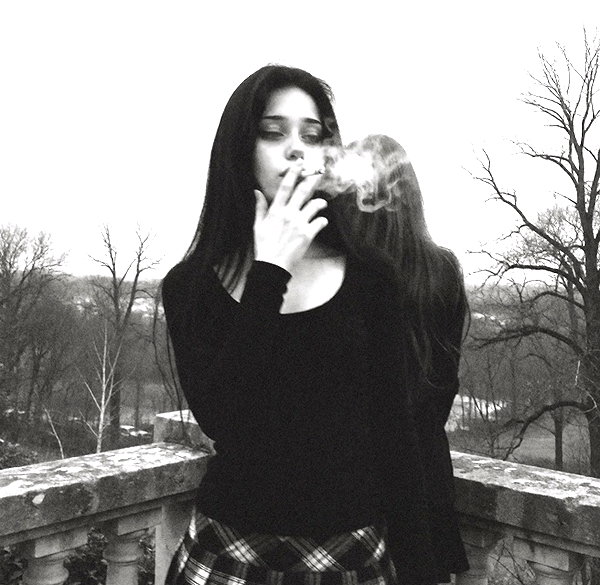 moonliliaght instagram image archive image