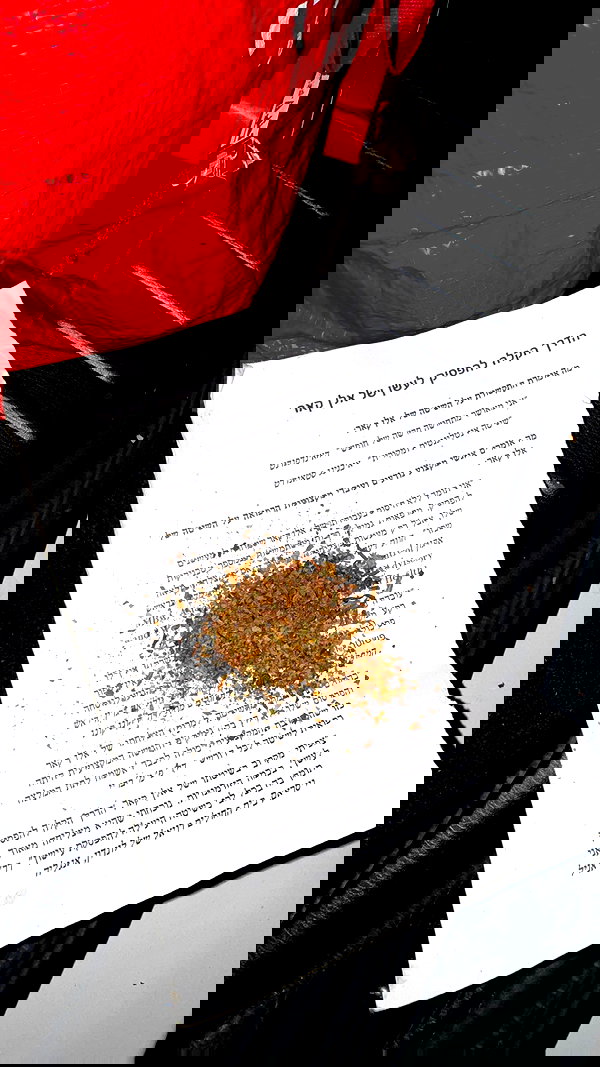 assoolin assoolin archive image