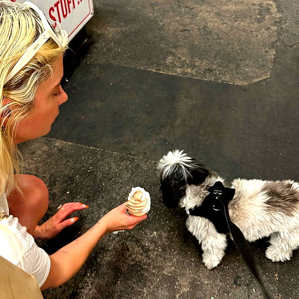 ashleybenson instagram image archive image