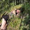 leanxhrt Altpins Profile Picture
