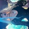 gonkgonk666 Altpins Profile Picture