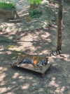 hhh.e_c.v Altpins Profile Picture