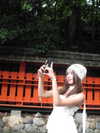 e.shao_417 Altpins Profile Picture