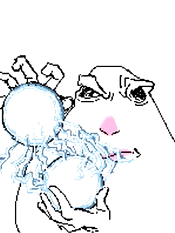 peachtoot.plz instagram image archive image