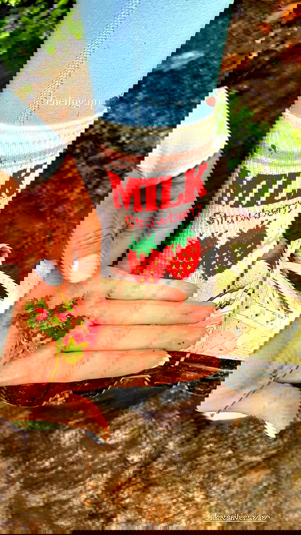 taylor.creeden taylor.creeden archive image