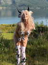 milkiwifey Altpins Profile Picture