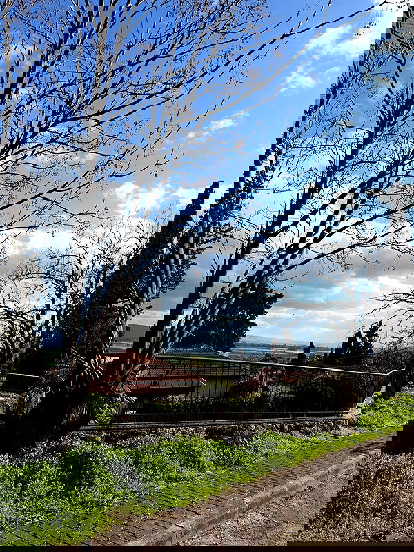 strawberryshanz strawberryshanz archive image