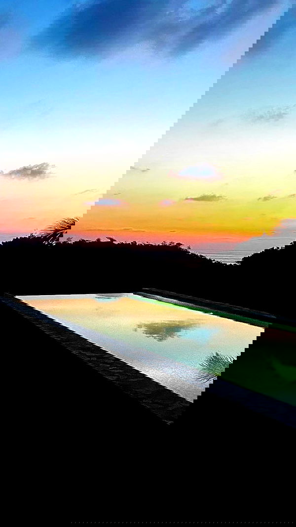 taylor.creeden taylor.creeden archive image